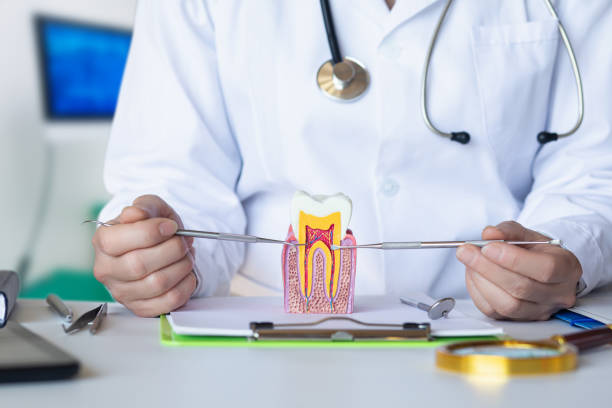 Best Orthodontic Emergency Dentist in Lake Vla, IL